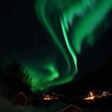 Koselig Dyregard I Tromso Hotel Luaran gambar