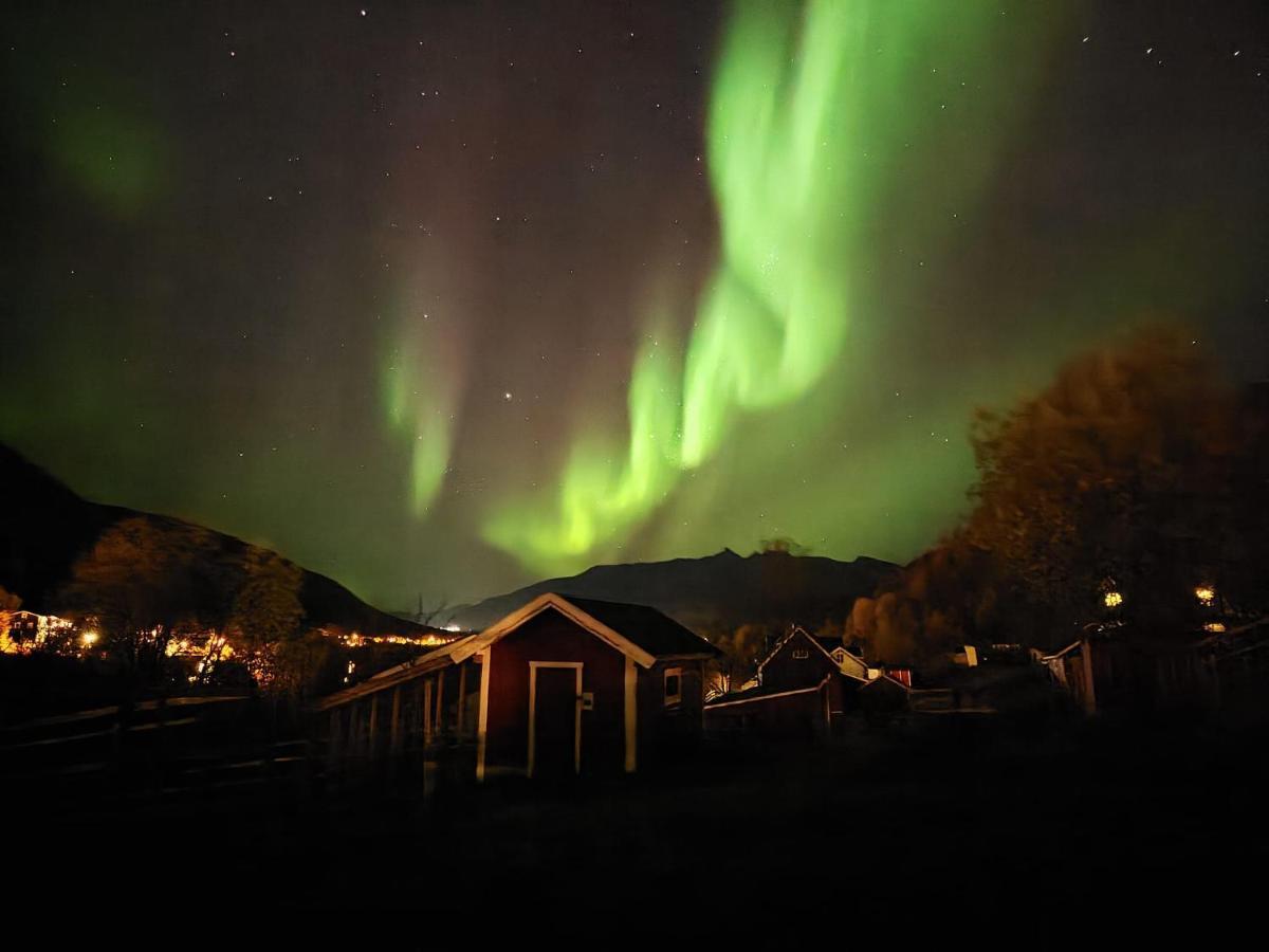 Koselig Dyregard I Tromso Hotel Luaran gambar