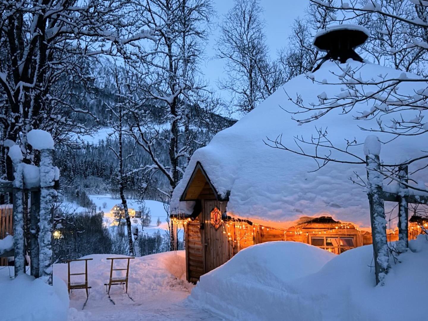 Koselig Dyregard I Tromso Hotel Luaran gambar